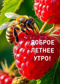 ������� ������� � 14 ����