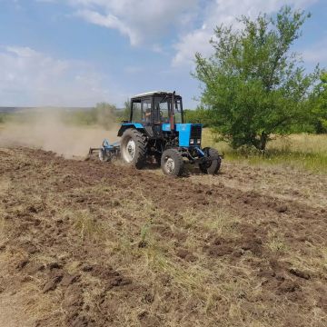 ГБУ ЛНР «Станично-Луганское лесоохотничье хозяйство» обновило противопожарную минерализованную полосу в Красноталовском отделе жизнеобеспечения