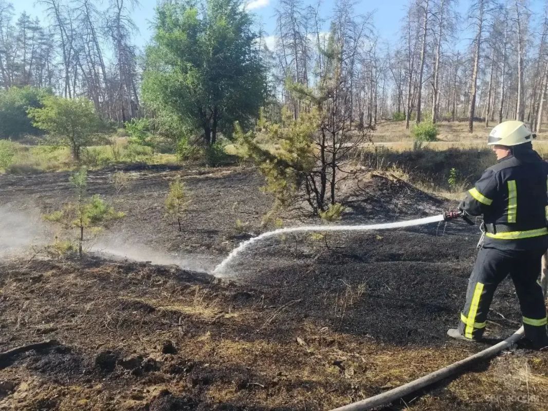 За прошедшие сутки в ЛНР произошло 17 пожаров За прошедшие сутки в ЛНР произошло 17 пожаров