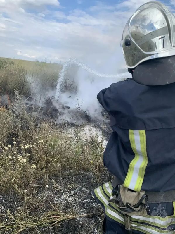 За прошедшие сутки в ЛНР произошло 17 пожаров За прошедшие сутки в ЛНР произошло 17 пожаров