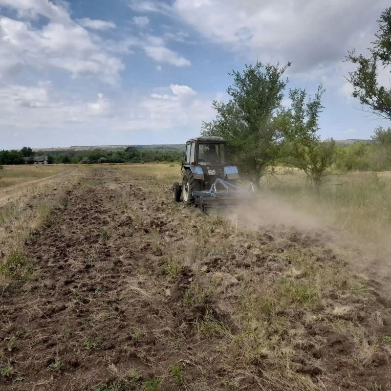 Сегодня 15.07.2026 г. ГБУ ЛНР «Станично-Луганское лесоохотничье хозяйство" произвело работы по обновлению противопожарной минерализованной полосы на территории Красноталовского отдела жизнеобеспечения в с.Благовещенка... Сегодня 15.07.2026 г. ГБУ ЛНР «Станично-Луганское лесоохотничье хозяйство" произвело работы по обновлению противопожарной минерализованной полосы на территории Красноталовского отдела жизнеобеспечения в с.Благовещенка...