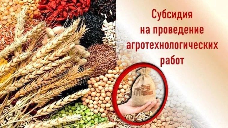 Осуществляется отбор получателей субсидий на агротехнологические работы