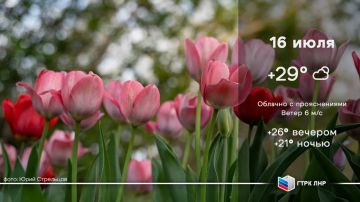 Доброго и мирного утра, Луганская Народная Республика!