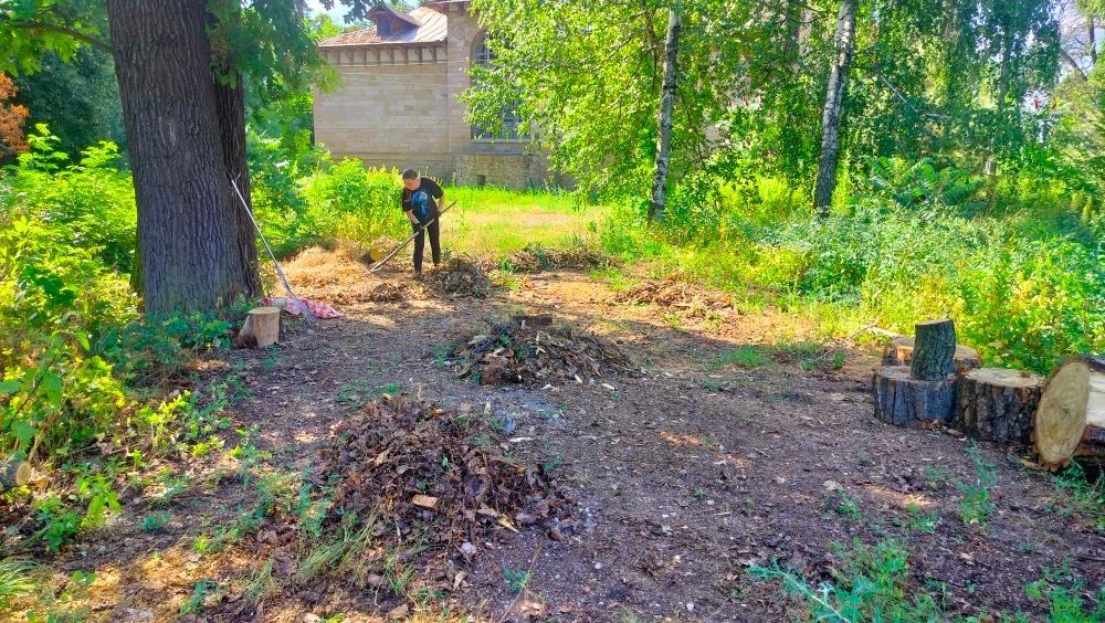 В парке и усадьбе Казимира Мсциховского прошла акция «Чистый четверг» В парке и усадьбе Казимира Мсциховского прошла акция «Чистый четверг»
