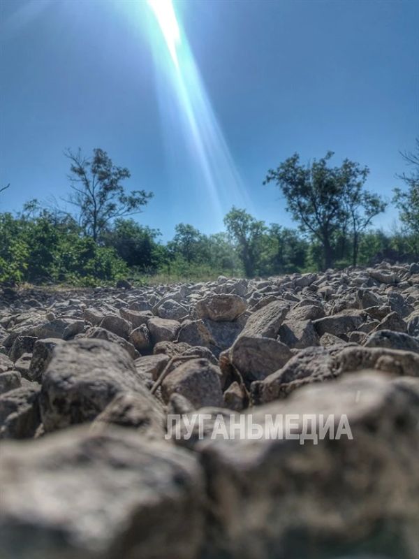 Подборка летних фото из Краснодона Подборка летних фото из Краснодона