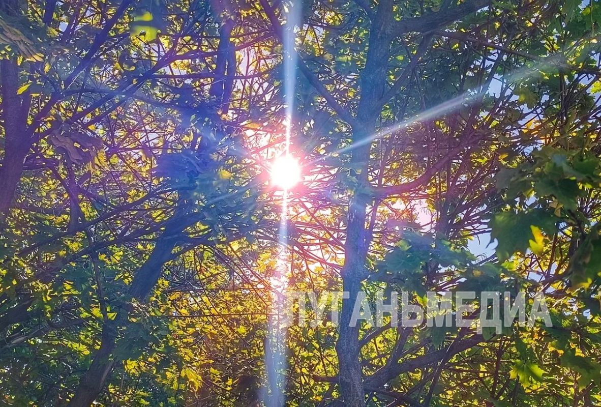 Подборка летних фото из Краснодона Подборка летних фото из Краснодона