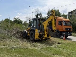 Активисты помогли привести в порядок территорию у санатория «Незабудка» Активисты помогли привести в порядок территорию у санатория «Незабудка»