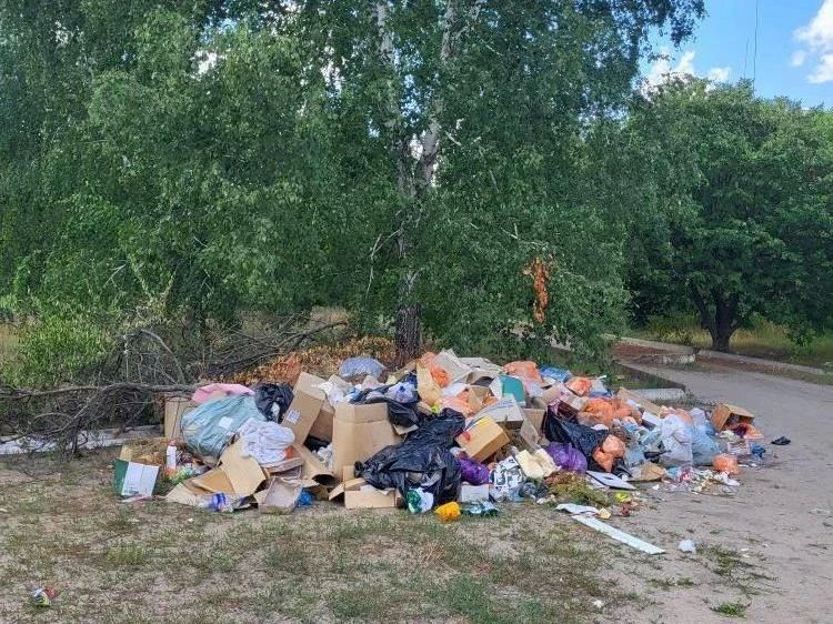 В Старобельске ликвидировали несанкционированную свалку возле колледжа В Старобельске ликвидировали несанкционированную свалку возле колледжа