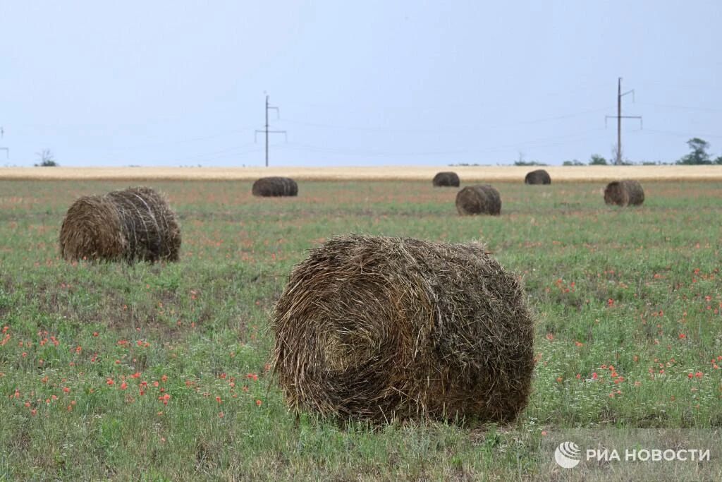 Погода на новых территориях России