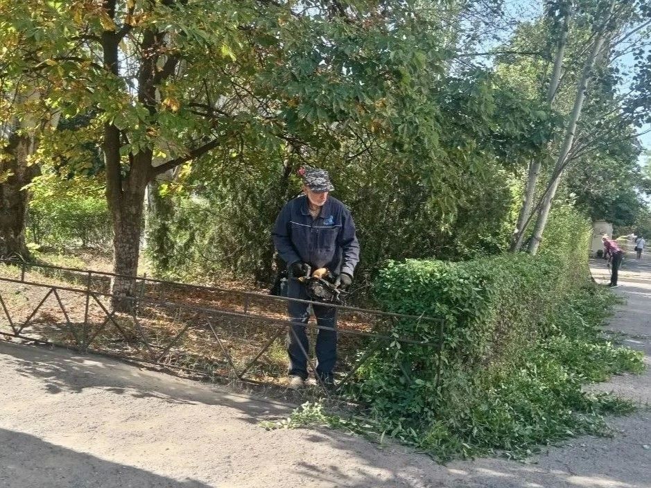 Коммунальными службами проведены работы на территории города Коммунальными службами проведены работы на территории города