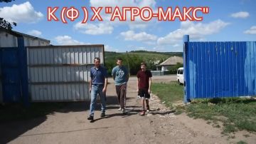 Центр карьеры: надёжная поддержка на старте профессионального пути