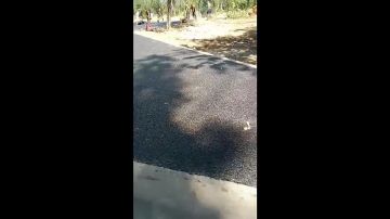 Продолжаем комплексное благоустройство Краснодонского парка имени «Молодой гвардии» — одного из самых значимых общественных пространств нашего муниципального округа