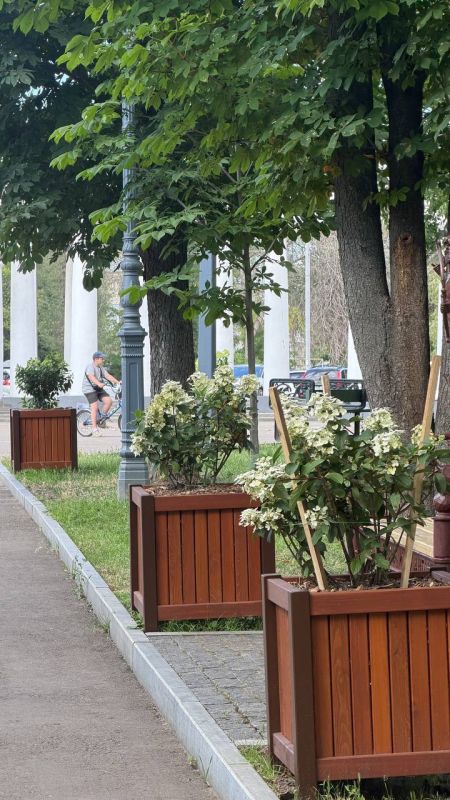 Луганск захватывают кашпо с красивенными растениями! Луганск захватывают кашпо с красивенными растениями!