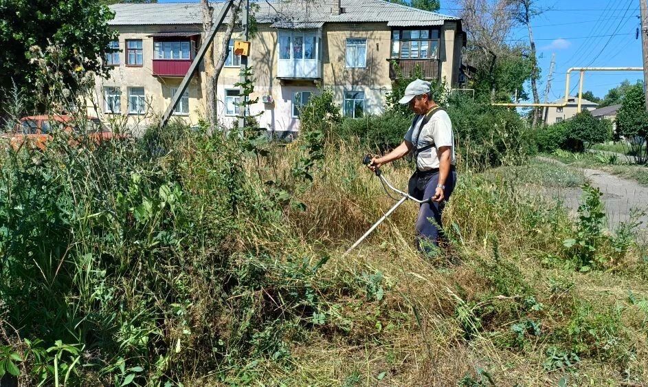 Единороссы продолжают благоустраивать территорию пгт Дубовский Единороссы продолжают благоустраивать территорию пгт Дубовский