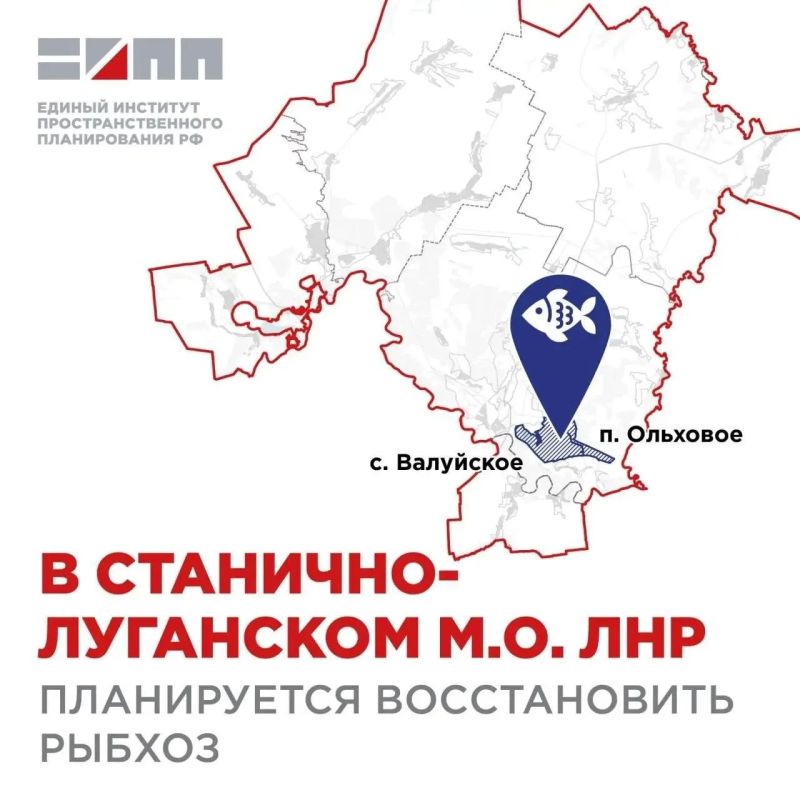 В Станично-Луганском округе планируют возродить рыбхоз