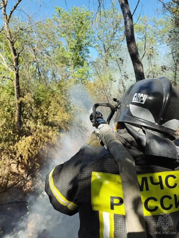 За прошедшие сутки спасатели ликвидировали 23 пожара, 19 из них - на открытых территориях
