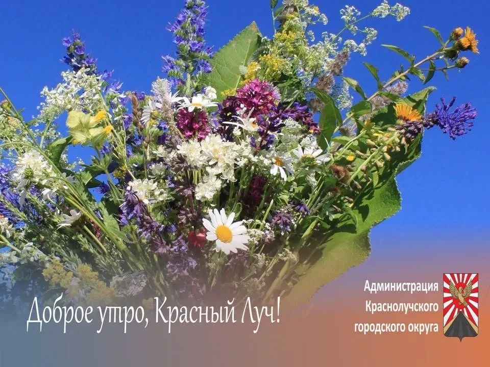 Доброе утро, краснолучане и гости города!