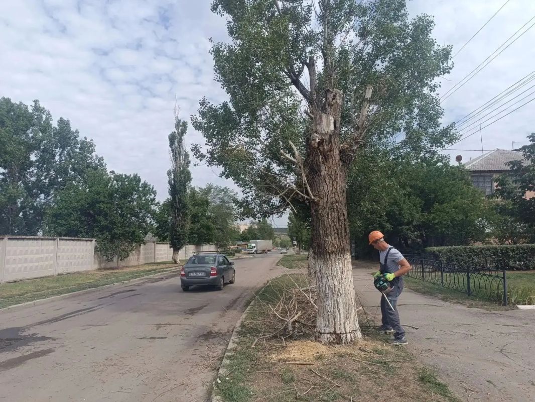 Аварийная бригада из Удмуртии ликвидировала опасное дерево в Лутугино Аварийная бригада из Удмуртии ликвидировала опасное дерево в Лутугино