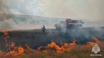 За сутки в ЛНР сгорело больше 124 гектаров травы