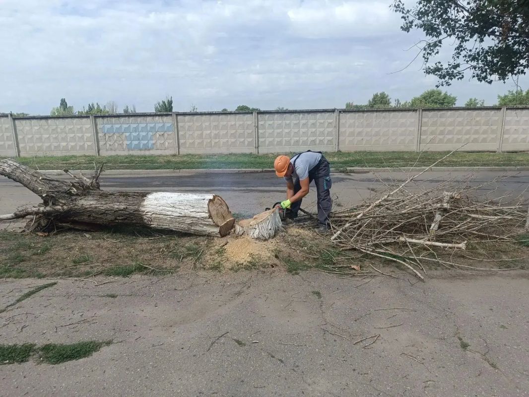 Аварийная бригада из Удмуртии ликвидировала опасное дерево в Лутугино Аварийная бригада из Удмуртии ликвидировала опасное дерево в Лутугино