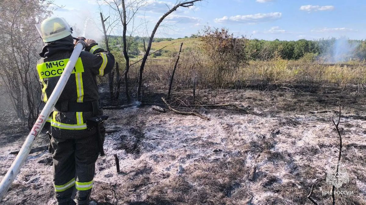 В ЛНР за сутки потушили 24 сухотравных пожара В ЛНР за сутки потушили 24 сухотравных пожара