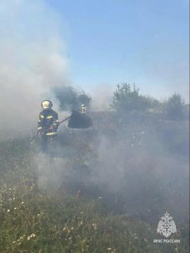 В ЛНР за сутки потушили 24 сухотравных пожара