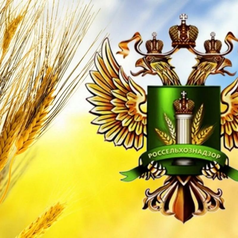 Россельхознадзор сообщает. Федеральная служба по ветеринарному и фитосанитарному надзору управления федеральной службы по ветеринарному и фитосанитарному надзору по ДНР и ЛНР информирует о мерах по борьбе с борщевиком...