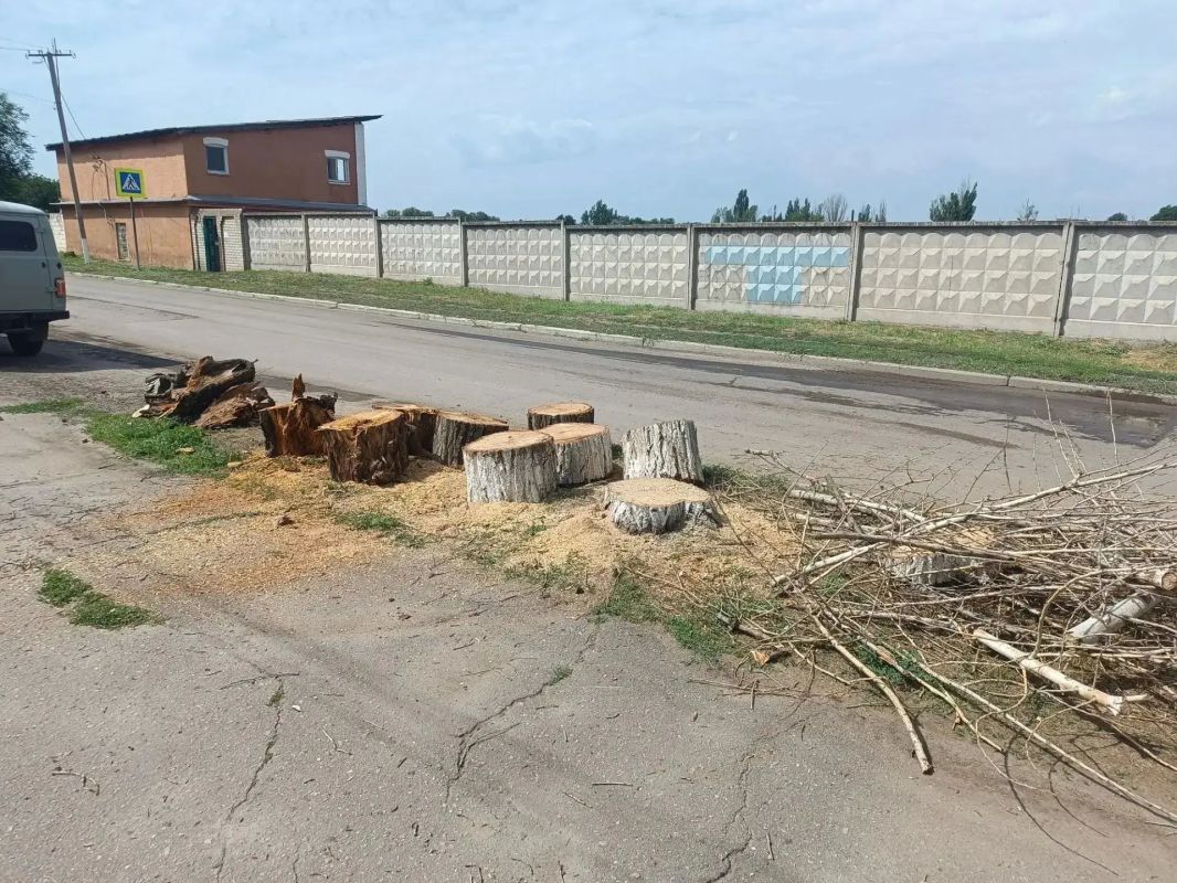 Аварийная бригада из Удмуртии ликвидировала опасное дерево в Лутугино Аварийная бригада из Удмуртии ликвидировала опасное дерево в Лутугино