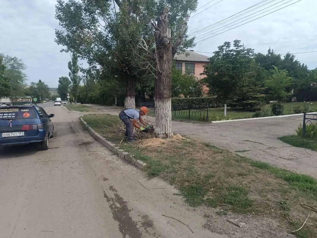 Аварийная бригада из Удмуртии ликвидировала опасное дерево в Лутугино Аварийная бригада из Удмуртии ликвидировала опасное дерево в Лутугино