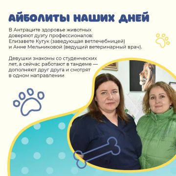 Там, где лечат с любовью. Елизавета и Анна из Антрацита каждый день доказывают: быть ветеринаром — значит не только лечить, но и беречь, понимать, чувствовать