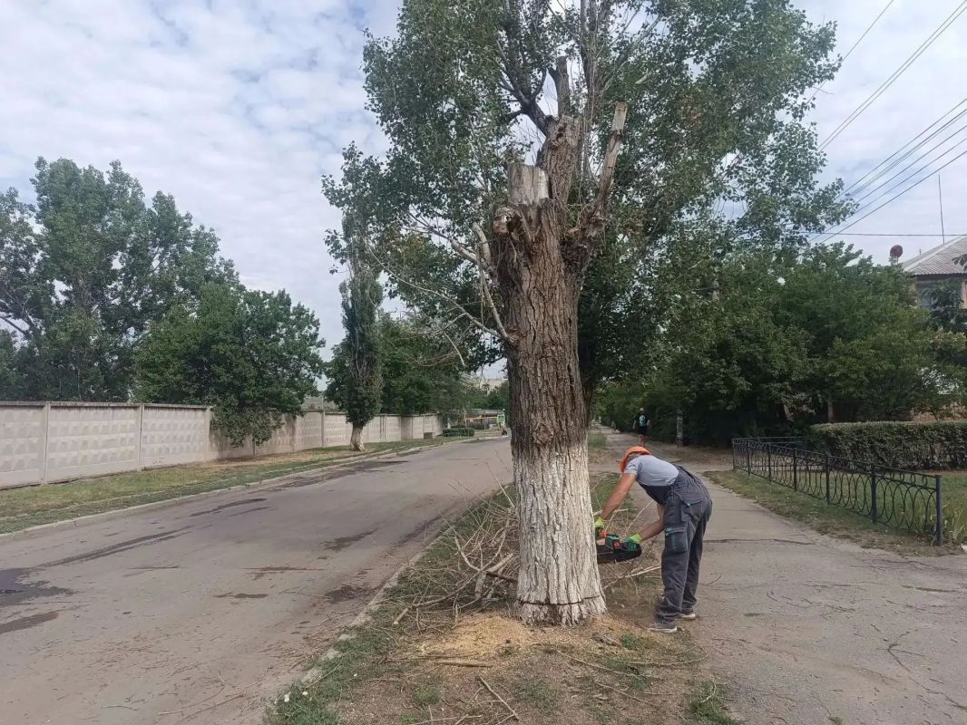 Аварийная бригада из Удмуртии ликвидировала опасное дерево в Лутугино Аварийная бригада из Удмуртии ликвидировала опасное дерево в Лутугино