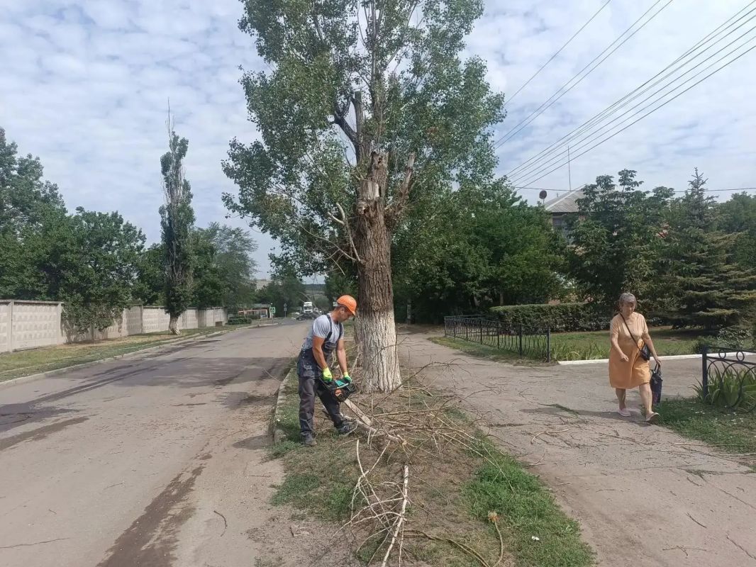 Аварийная бригада из Удмуртии ликвидировала опасное дерево в Лутугино Аварийная бригада из Удмуртии ликвидировала опасное дерево в Лутугино