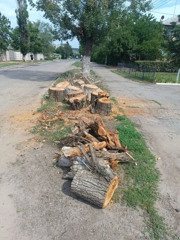 Аварийная бригада из Удмуртии ликвидировала опасное дерево в Лутугино Аварийная бригада из Удмуртии ликвидировала опасное дерево в Лутугино