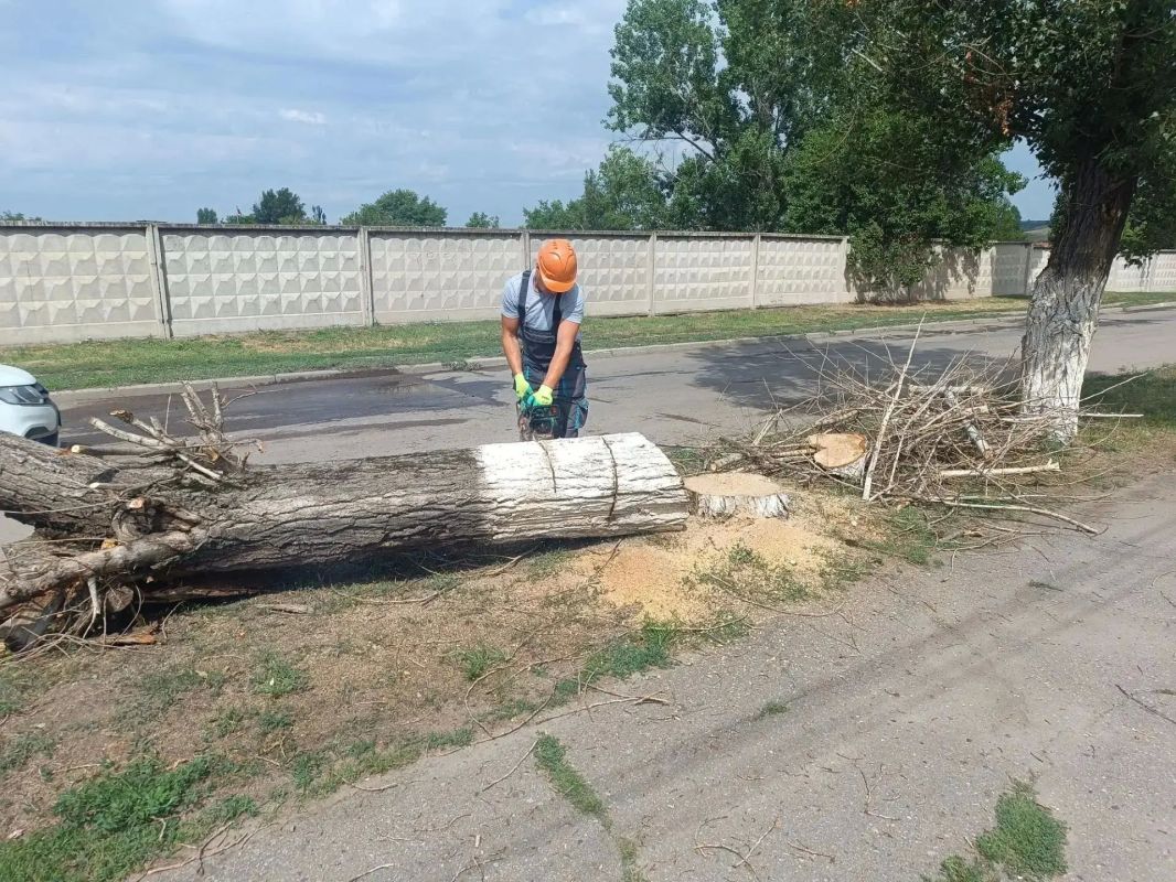 Аварийная бригада из Удмуртии ликвидировала опасное дерево в Лутугино Аварийная бригада из Удмуртии ликвидировала опасное дерево в Лутугино
