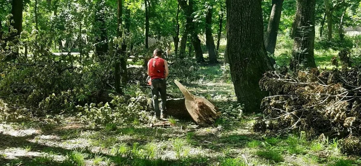 Работы по благоустройству парка культуры и отдыха им. Героев продолжаются Работы по благоустройству парка культуры и отдыха им. Героев продолжаются