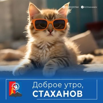 ������ ����, ������������!