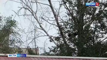 ���������� ���� �������� ����� � �������� ����� ������ ����� ����