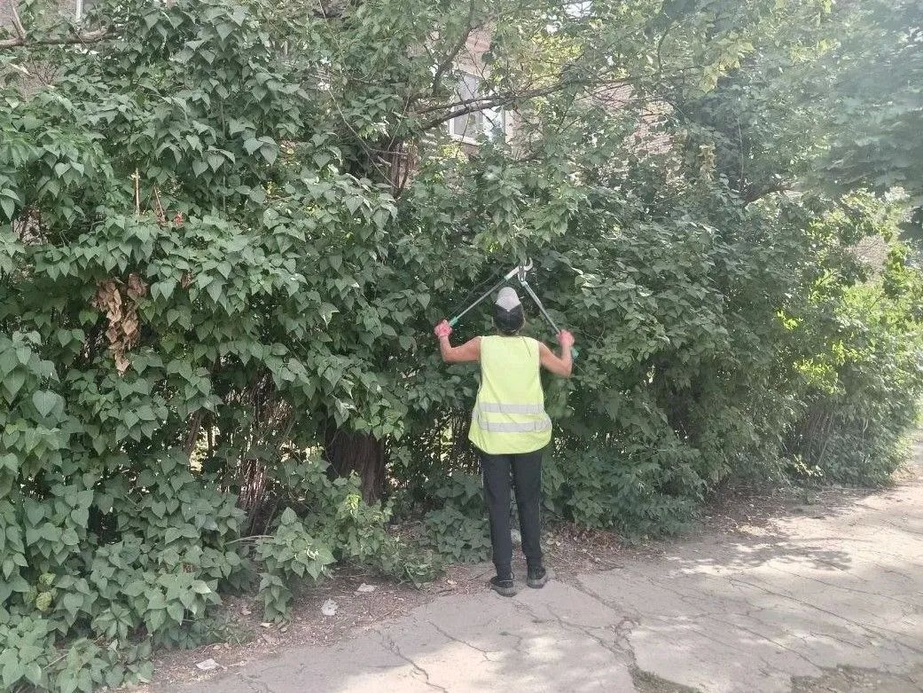 Коммунальными службами проведены работы на территории города Коммунальными службами проведены работы на территории города