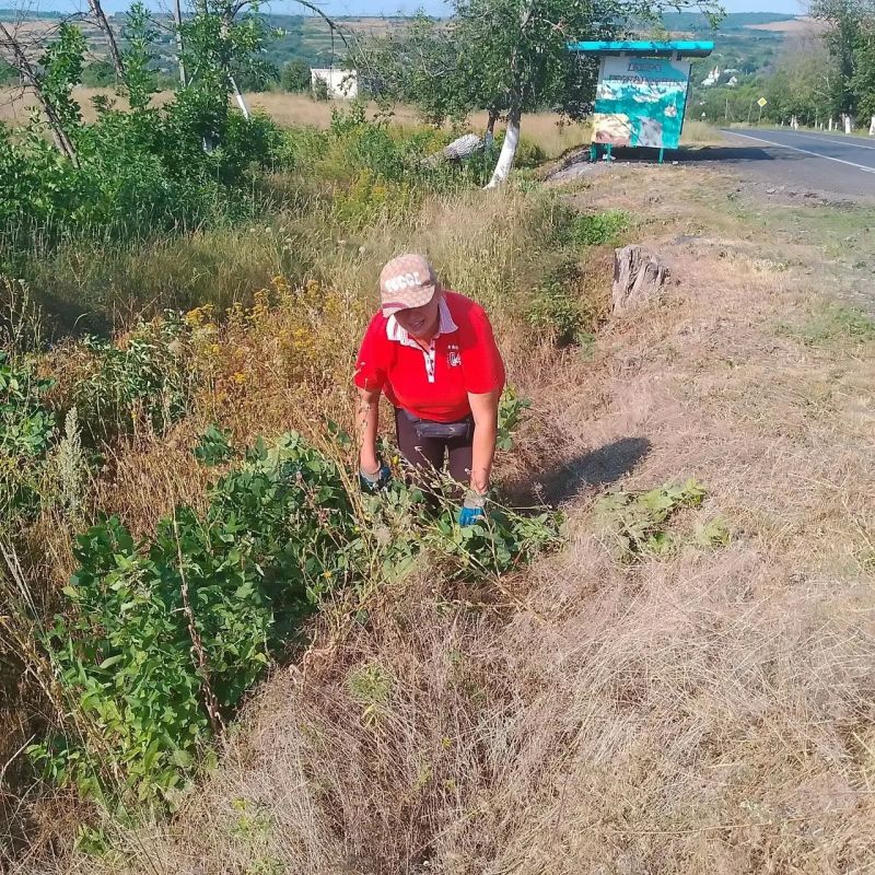 В период с 20 по 24 июля в Городище прошли очередные субботники, в которых приняли участие сотрудники отдела по обеспечению жизнедеятельности пгт Городище, с. Малоивановка, Городищенской средней школы № 23 и Городищенского... В период с 20 по 24 июля в Городище прошли очередные субботники, в которых приняли участие сотрудники отдела по обеспечению жизнедеятельности пгт Городище, с. Малоивановка, Городищенской средней школы № 23 и Городищенского...