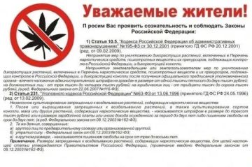 На территории округа начался сезон активного роста сорной растительности, дикорастущей конопли и мака, содержащих наркотические вещества
