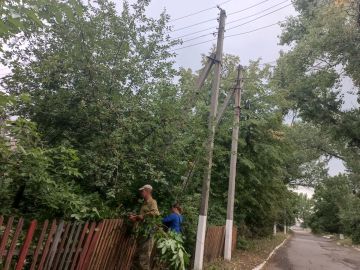 На территории отдела по обеспечению жизнедеятельности пгт Комиссаровка организована и проведена работа по вырезанию поросли деревьев по улице Гоголя в районе домов № 3, 5, 7, 9