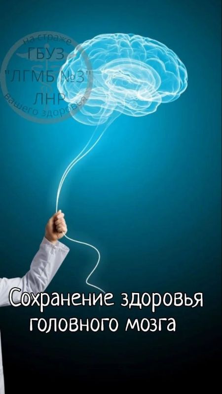 Стресс и здоровье головного мозга: как сохранить ясность ума в бурное время