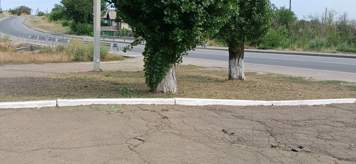 В поселке Изварино провели субботник В поселке Изварино провели субботник