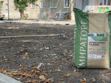 В Молодогвардейске продолжается озеленение аллеи «Мира и единства»
