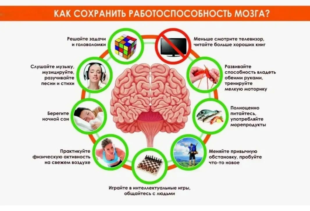 Неделя сохранения здоровья головного мозга: чистота, которая спасает ваши нейроны