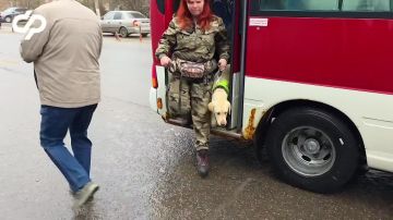 �������� ������ �� �������