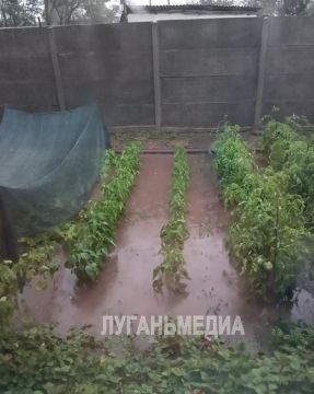 Наши подписчики из Краснодонского округа делятся проблемами, которые принесла стихия