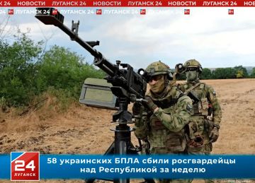 58 украинских БПЛА сбили росгвардейцы над Республикой за неделю