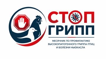 ВНИМАНИЕ! Объявлен месячник по профилактике высокопатогенного гриппа птиц и болезни Ньюкасла «СТОП ГРИПП»