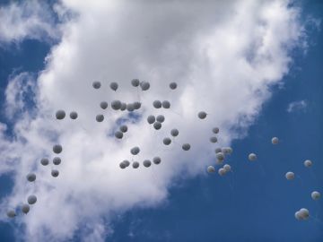 ���� ������: ����� � ��� ������ ���� ������������